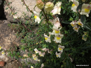 zzena-11-03-2013 09-21-25